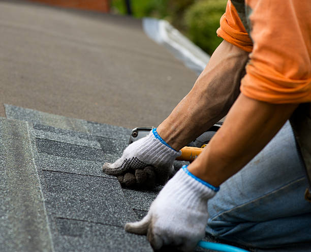 Best Gutter Installation and Roofing  in Nocona, TX