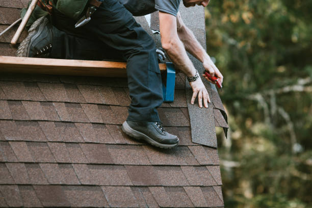 Best Roof Maintenance Services  in Nocona, TX